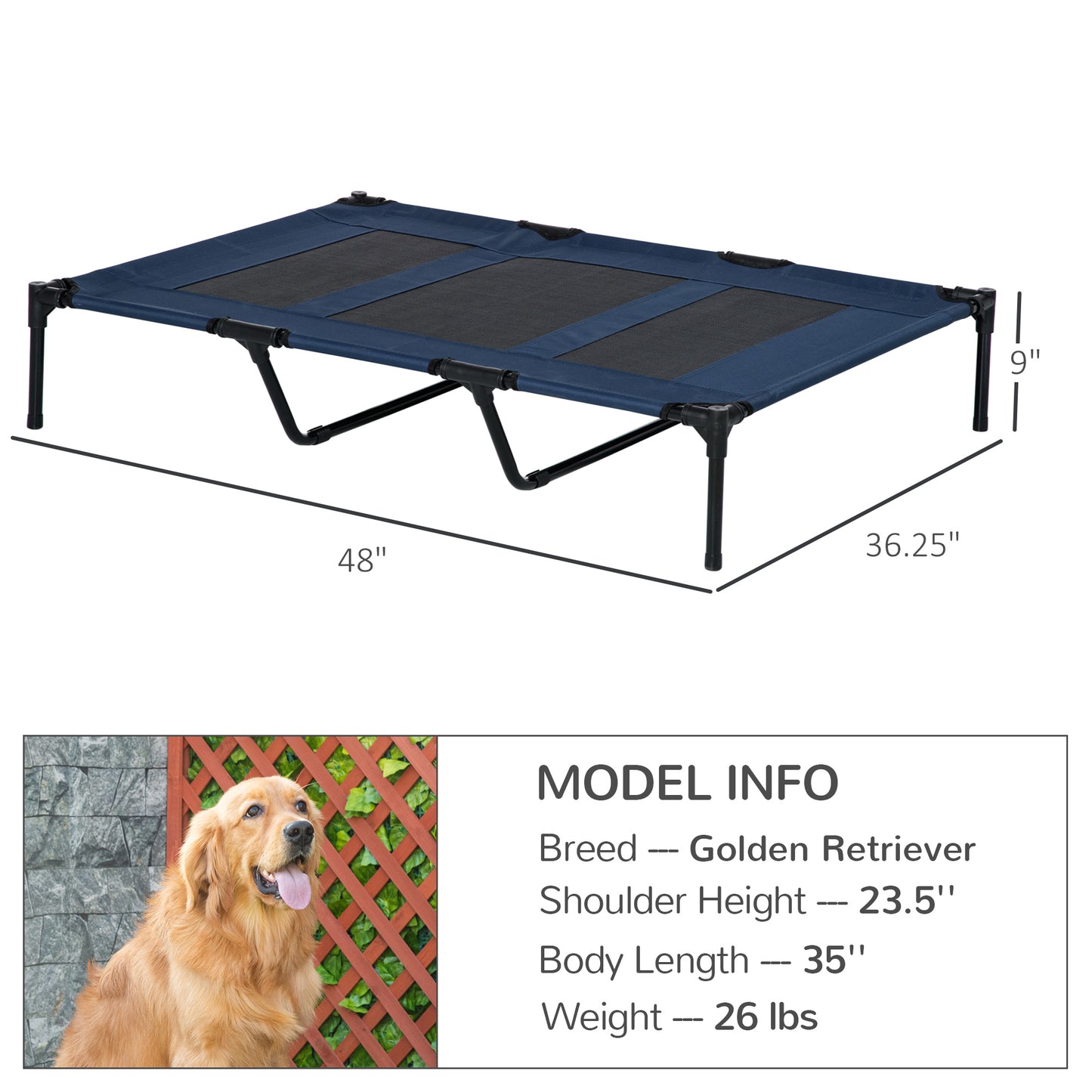 Elevated Dog Bed with Carry Bag, 48" x 36"