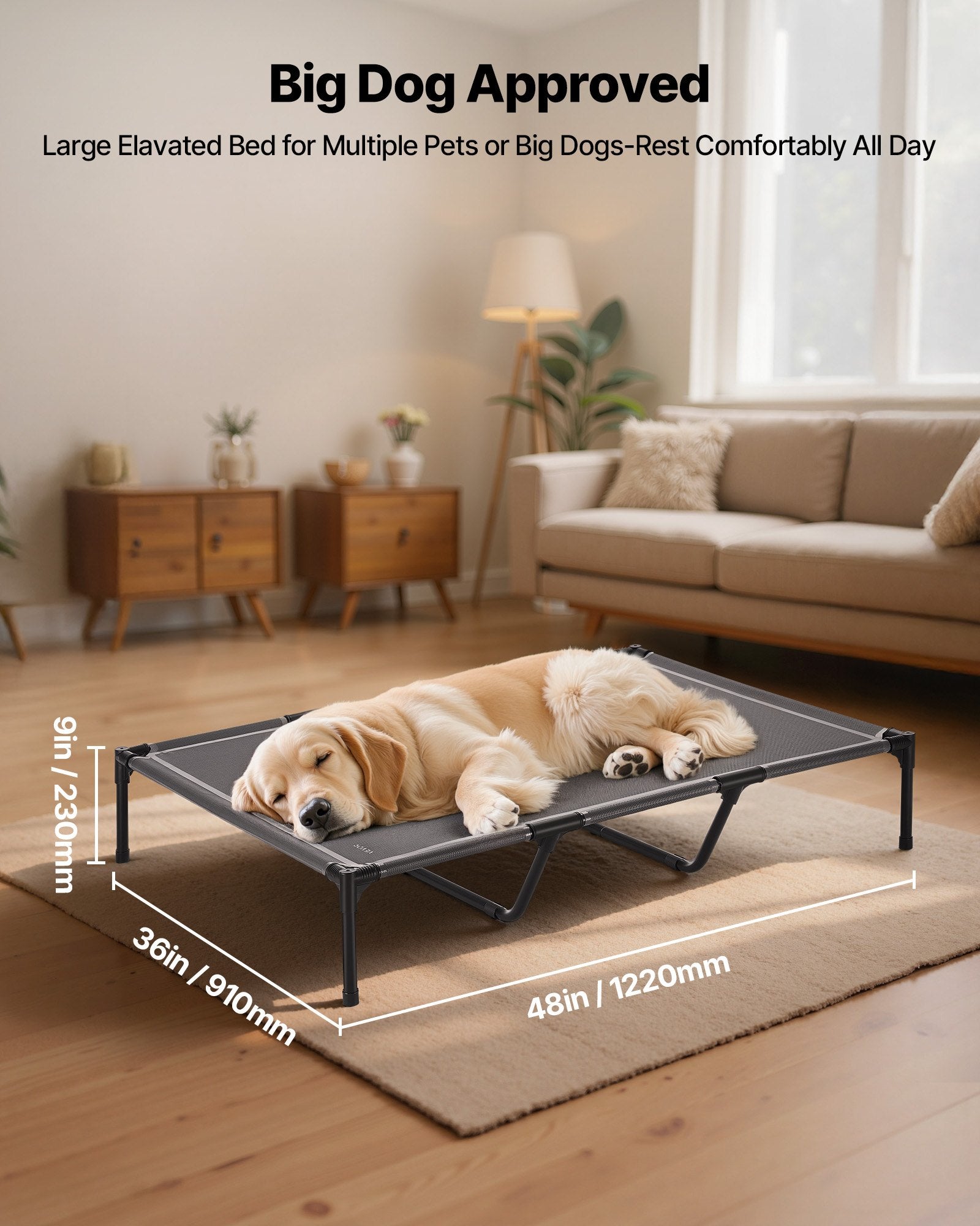 Elevated Dog Cot with Steel Frame, XL