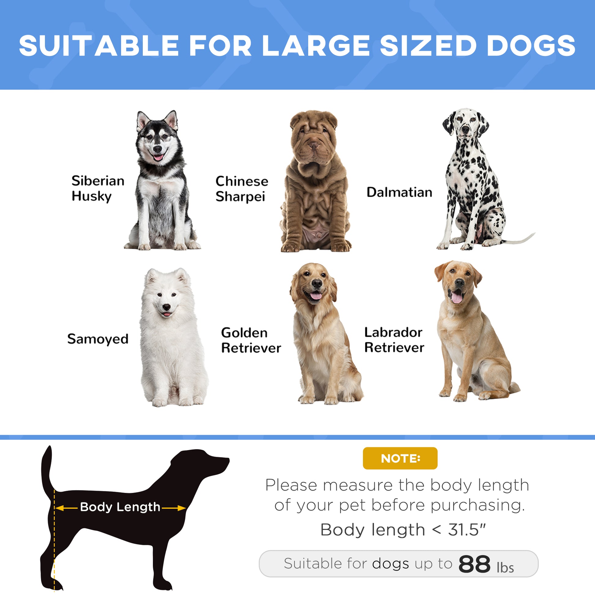 Elevated Dog Bed with Carry Bag, 48" x 36"