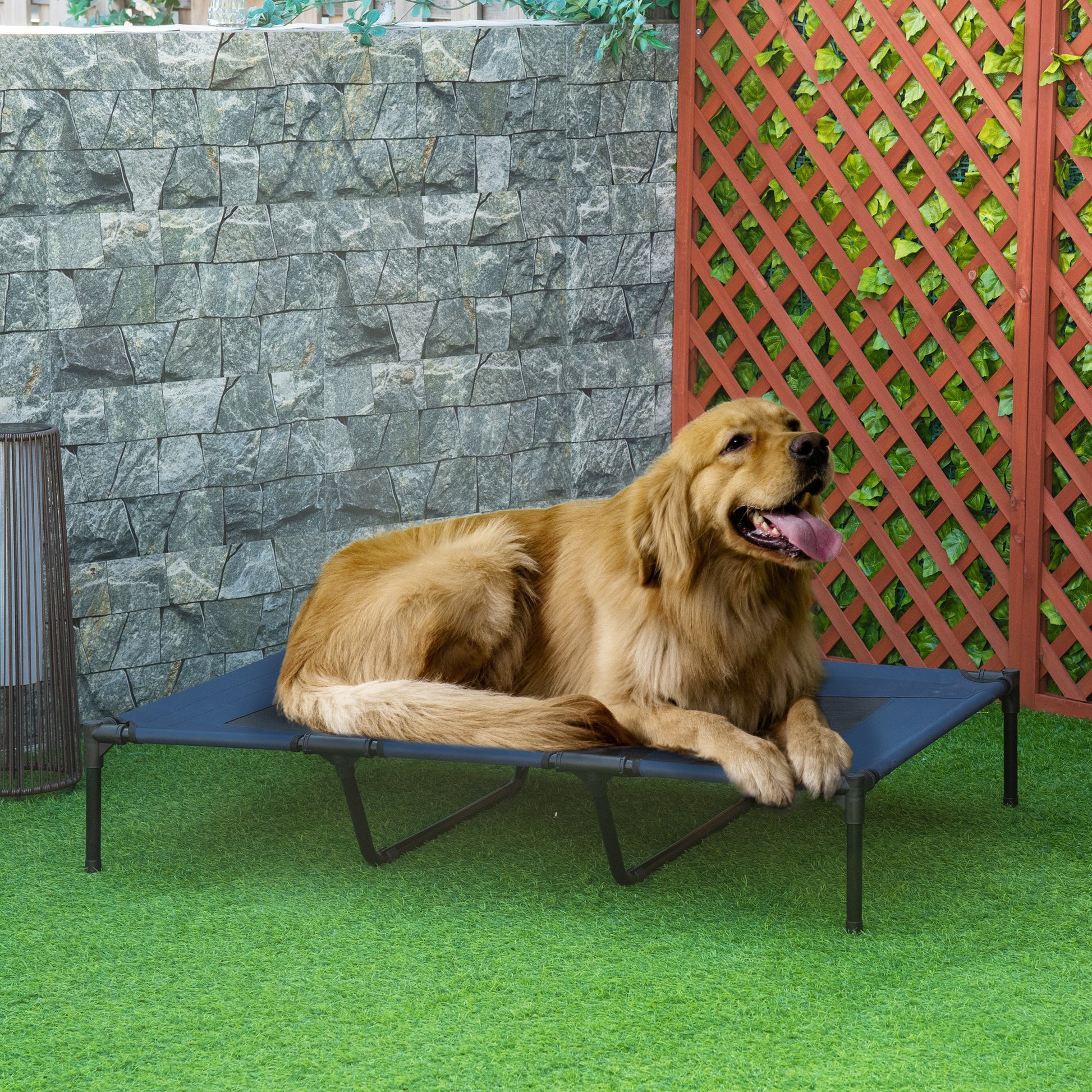 Elevated Dog Bed with Carry Bag, 48" x 36"