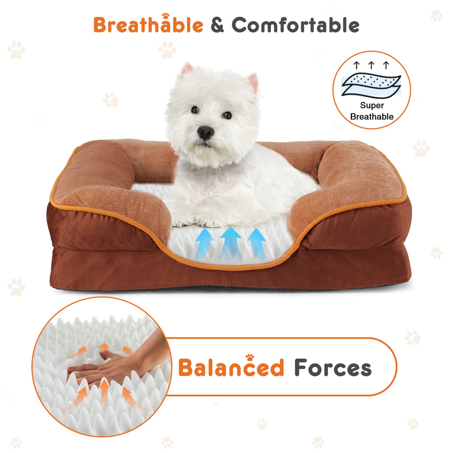Memory Foam Dog Bed with Washable Cover & Waterproof Liner