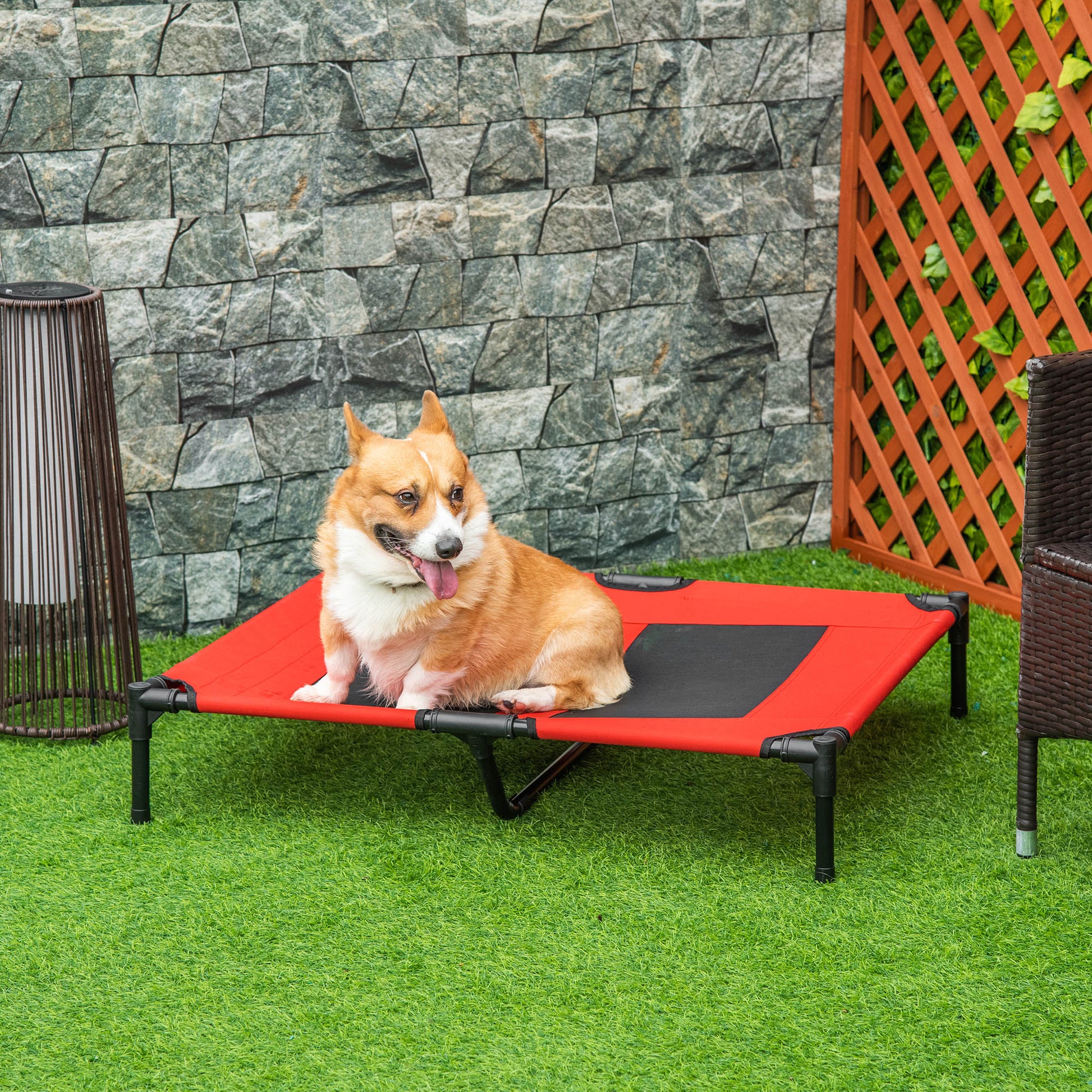 Elevated Cooling Dog Cot with Mesh Panel, 36" x 30"